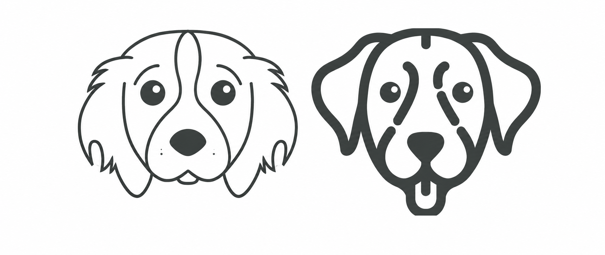 Senior Dog Advice