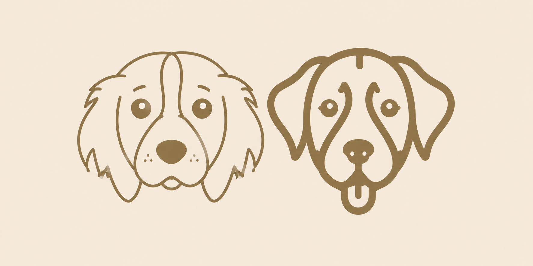 Senior Dog Advice